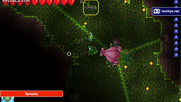 Terraria-Screenshot2.webp