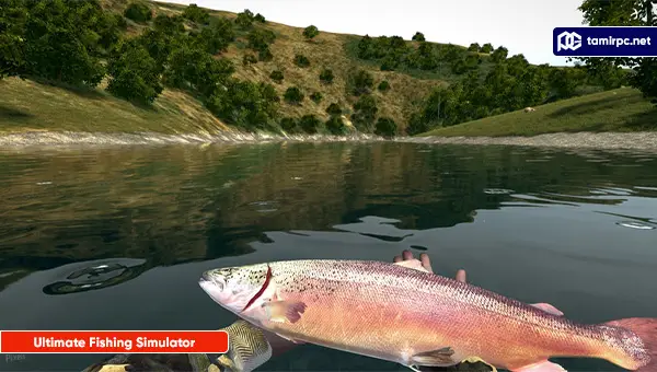 Ultimate-Fishing-Simulator-Screenshot4.webp