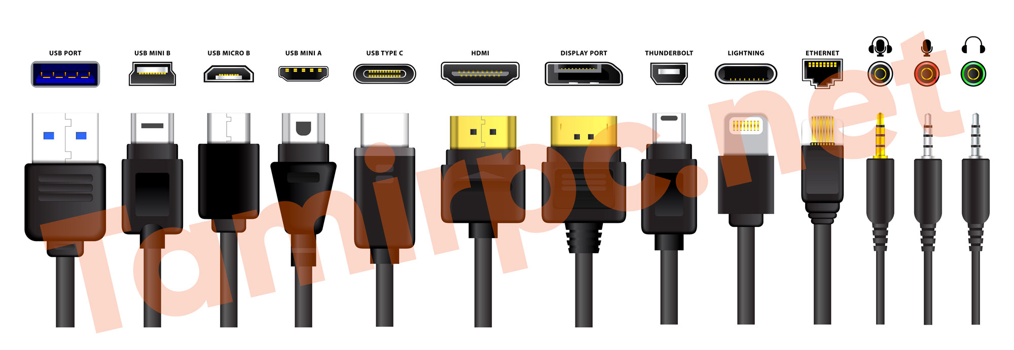 پورت های مختلفی که در بین کاربران تکنولوژی رایج است انواع مختلفی از Port های رایج