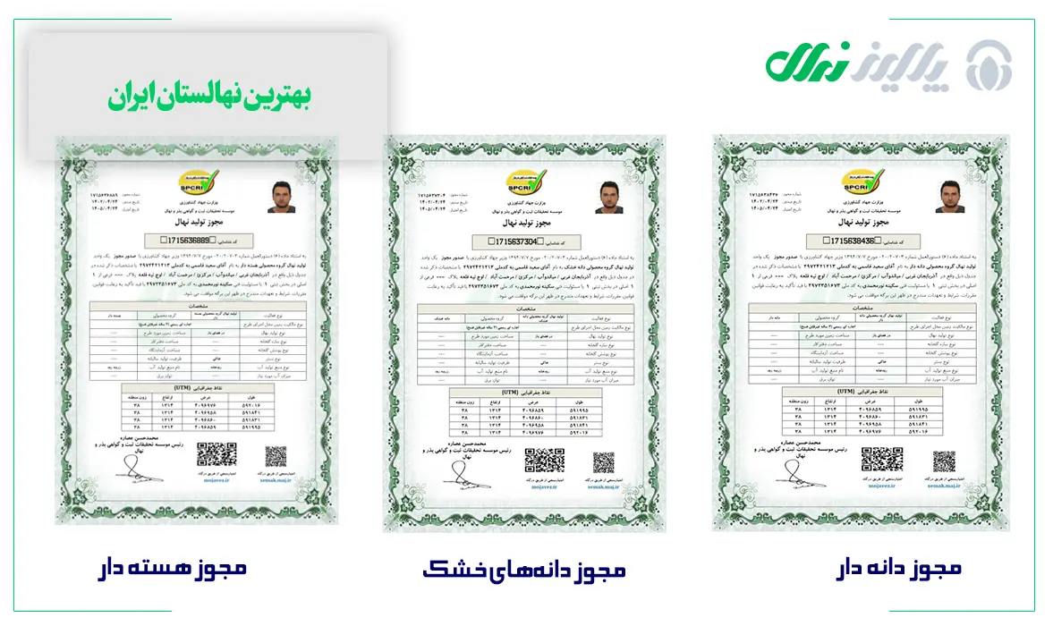 تولید نهال برتر تولید نهال برتر